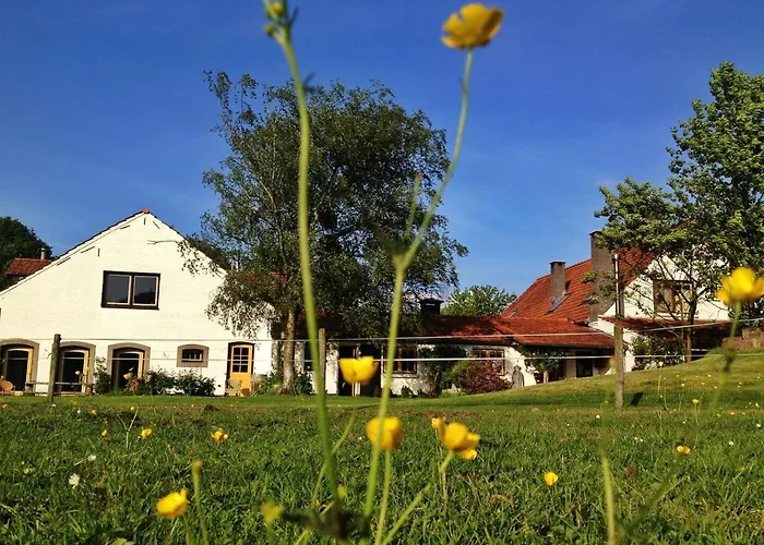 Hoeve De Knol Σπίτι διακοπών Holthees